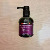 بنفش آماتیس